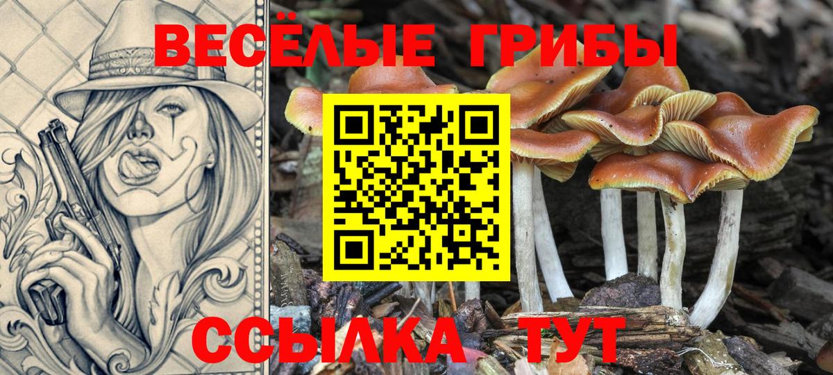 Тольятти  Псилоцибиновые грибы Magic Shrooms  Галлюциногенные грибы Psilocybine cubensis  Вход с VPN 