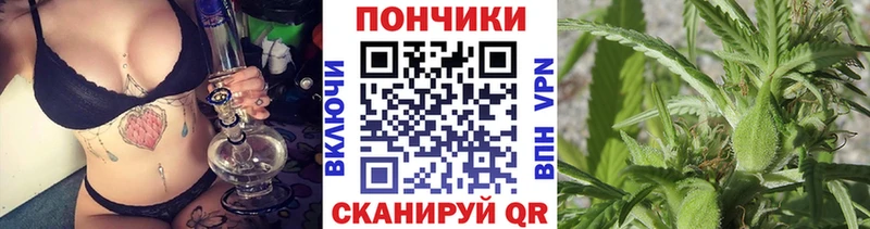 Бошки марихуана ГИДРОПОН  купить наркотик  Тольятти 