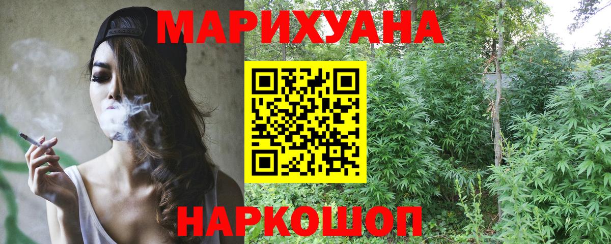 Бошки Шишки планчик Тольятти